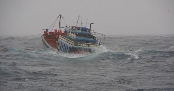Cứu sống 8 thuyền viên trên tàu cá bị chìm ngoài khơi